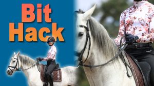 A person in a floral riding shirt and helmet sits with steady contact on a white horse with a brown saddle. Large text reads Bit Hack in orange on a blue background, highlighting this cool hack with a close-up of the horse and rider on the right.