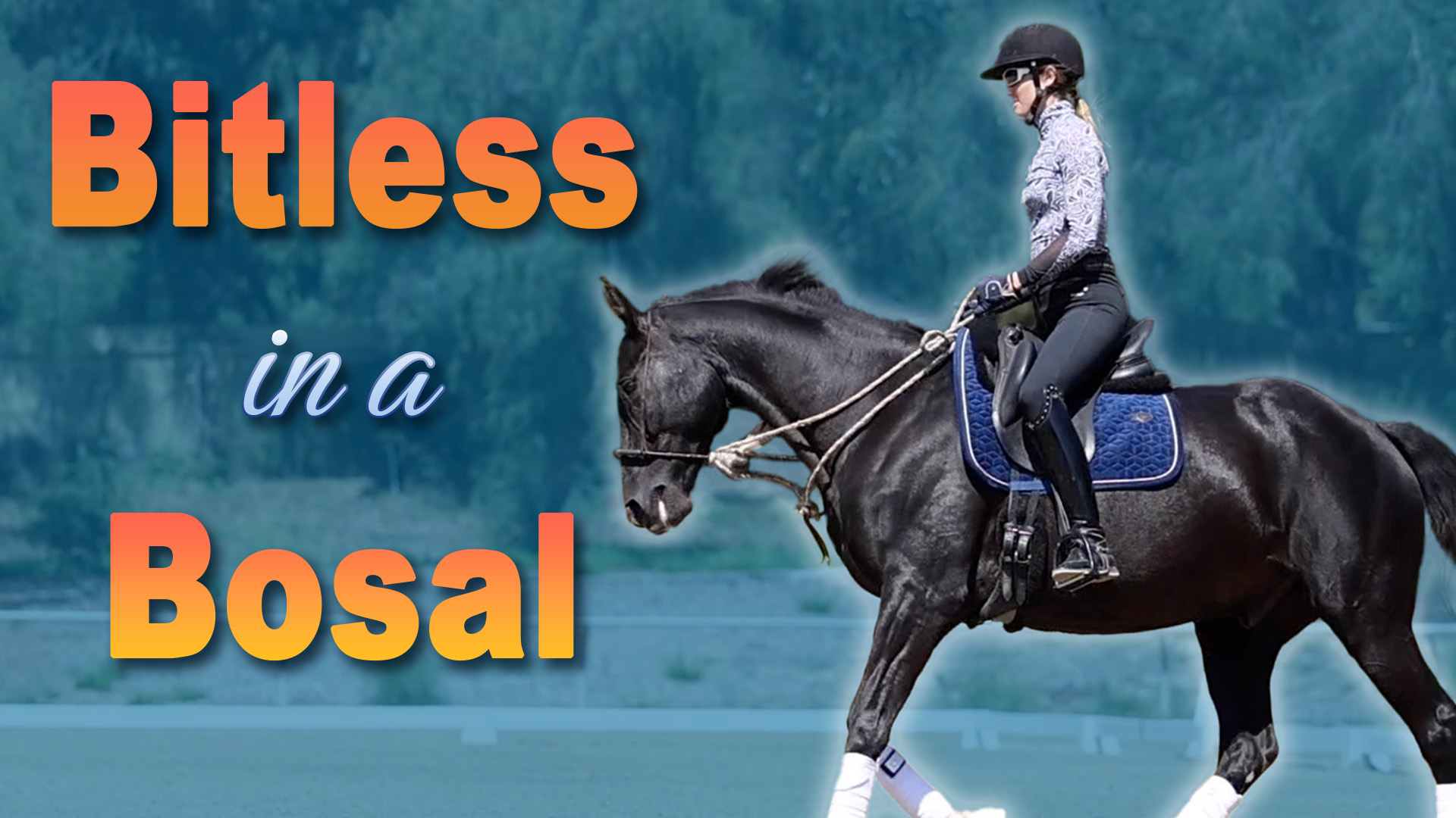A rider in a helmet and patterned shirt practices bitless riding on a black horse with a blue saddle pad in an outdoor arena. Large text reads Bitless in a Bosal on a blue background.