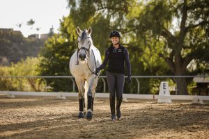 A person in riding gear leads a white horse by the reins in an outdoor arena, practicing groundwork. The sandy ground features dressage markers, while trees and sunlight complete the serene background.