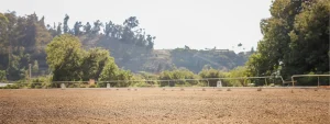 A sunlit, empty outdoor arena with a dirt surface, bordered by a white fence and surrounded by green trees and distant hills under a clear sky—perfectly refreshed for the Strides 2024 Update.