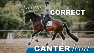 A rider in equestrian attire guides a dark horse in a dressage arena, focusing on setting up the horse for the correct canter lead. Text on the image says, Get the correct canter lead. Trees and arena markers are visible in the background.