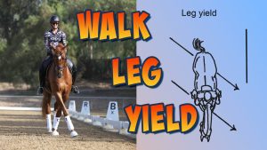 A rider in a helmet and patterned shirt performs walk leg-yields on a chestnut horse in an arena, demonstrating suppleness. Next to them is a diagram of the leg yield movement, with bold text reading WALK LEG YIELD.