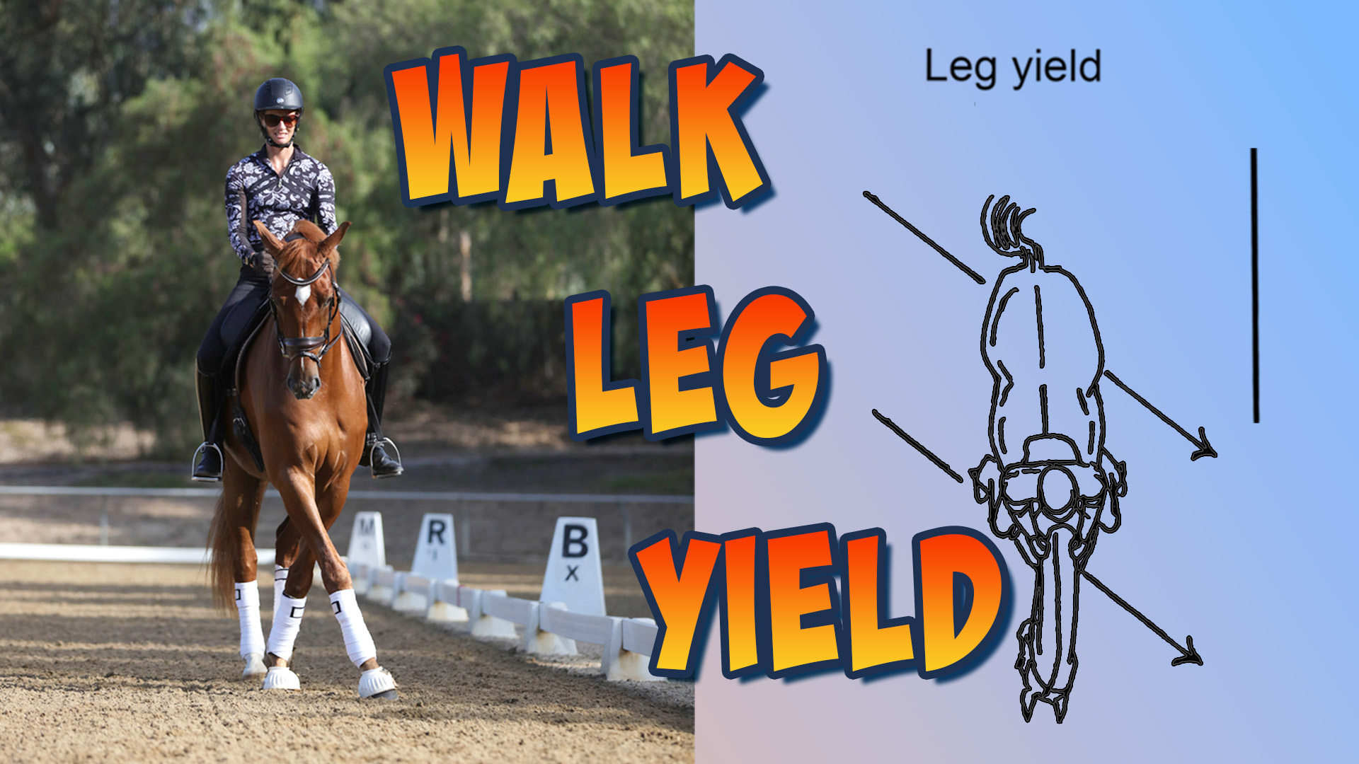 A rider in a helmet and patterned shirt performs walk leg-yields on a chestnut horse in an arena, demonstrating suppleness. Next to them is a diagram of the leg yield movement, with bold text reading WALK LEG YIELD.