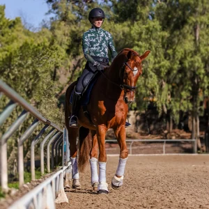 Amelia Newcomb riding a shoulder in on a chestnut dressage horse.