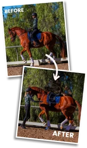 Before image of Amelia Newcomb executing a collected trot from on her horse, after image of Amelia executing a collected trot from the ground.