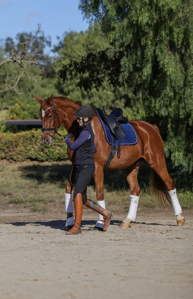 Amelia Newcomb practicing groundwork with her chestnut dressage horse.