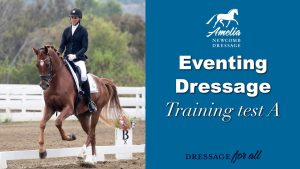 Amelia Newcomb riding a chestnut dressage horse in canter during a competition. Eventing Dressage Training Test A