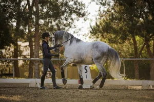 Amelia Newcomb practicing groundwork with her horse Mercurio.