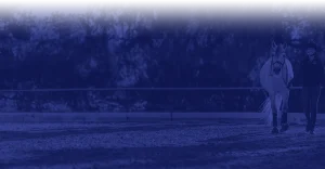 A person walks alongside a white horse in an outdoor arena, surrounded by trees. The image, with its blue tint, captures a moment from a Groundwork Masterclass.