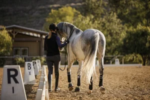 Amelia Newcomb walking away from the camera while practicing groundwork with her horse.