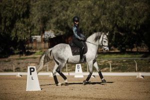 Amelia Newcomb riding Mercurio performing a pirouette.