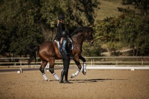 Amelia Newcomb teaching a dressage student a pirouette.