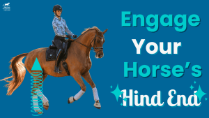 Amelia Newcomb riding a chestnut horse with a spring depicting the engagement of the horse's hind end. Engage your horse's hind end.