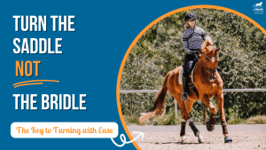 Amelia Newcomb executing a turn on a chestnut dressage horse. Turn the saddle, not the bridle. The key to turning with ease.