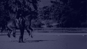 Amelia Newcomb teaching a dressage student.