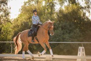 A rider in a helmet and floral shirt trots a chestnut horse with white leg wraps and a black saddle in an outdoor dressage arena, sunlight and trees in the background—perfect for listening to Heels Down Happy Hour Podcast Episode 122.