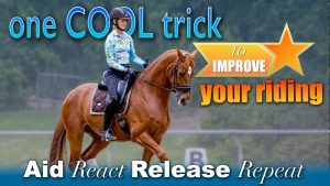 A rider on a chestnut horse in an outdoor arena with text: one COOL trick to IMPROVE your riding. Aid React Release Repeat. Try these riding tips! The rider wears a helmet, patterned shirt, and black pants.