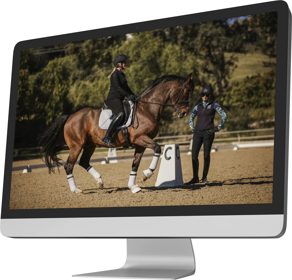 Horse and rider practicing dressage fundamentals during a trot session online