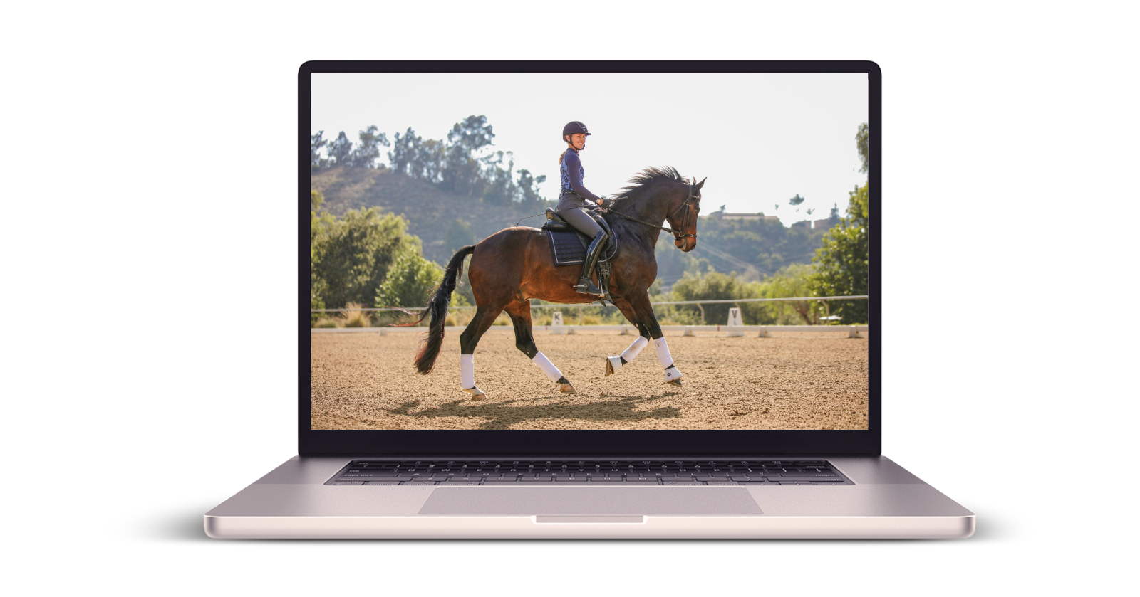 Dressage lesson focused on rider position and horse connection