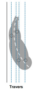 Diagram showing the footfalls of the horse in Travers.