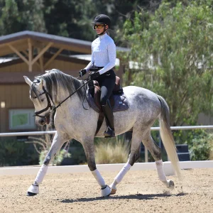 An equestrian wearing a helmet, sunglasses, and a light long-sleeve shirt rides a gray horse with leg wraps in an outdoor arena during the Sitting Trot Challenge, with greenery and buildings in the background.