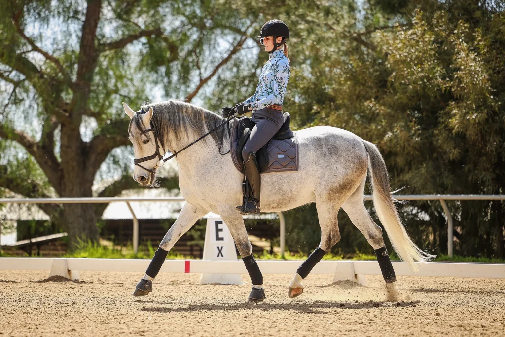 A person in riding gear and helmet is riding a gray horse in an outdoor dressage arena, participating in the Sitting Trot Challenge. The horse is trotting with protective boots, trees, and a white dressage marker labeled E in the background.