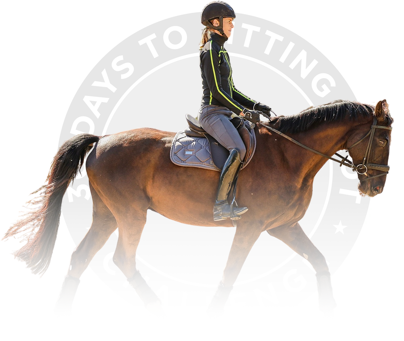 graphic of dressage horse and rider practicing arena work in a calm frame