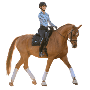 A person wearing a helmet and floral shirt is taking on the Sitting Trot Challenge, riding a chestnut horse with white leg wraps and a black saddle, trotting forward on a white background.