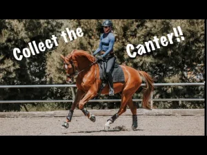 Amelia Newcomb executing a collected canter.