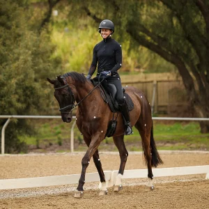 Dressage horse and rider practicing arena work in a calm frame