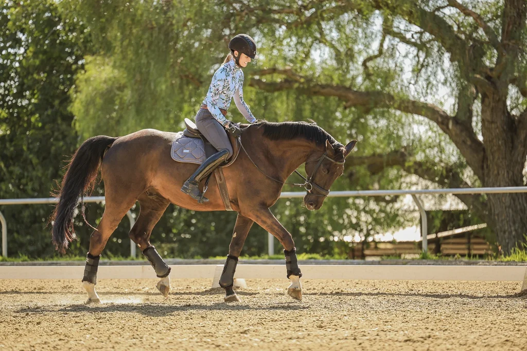 Horse and rider practicing dressage trot with lessons