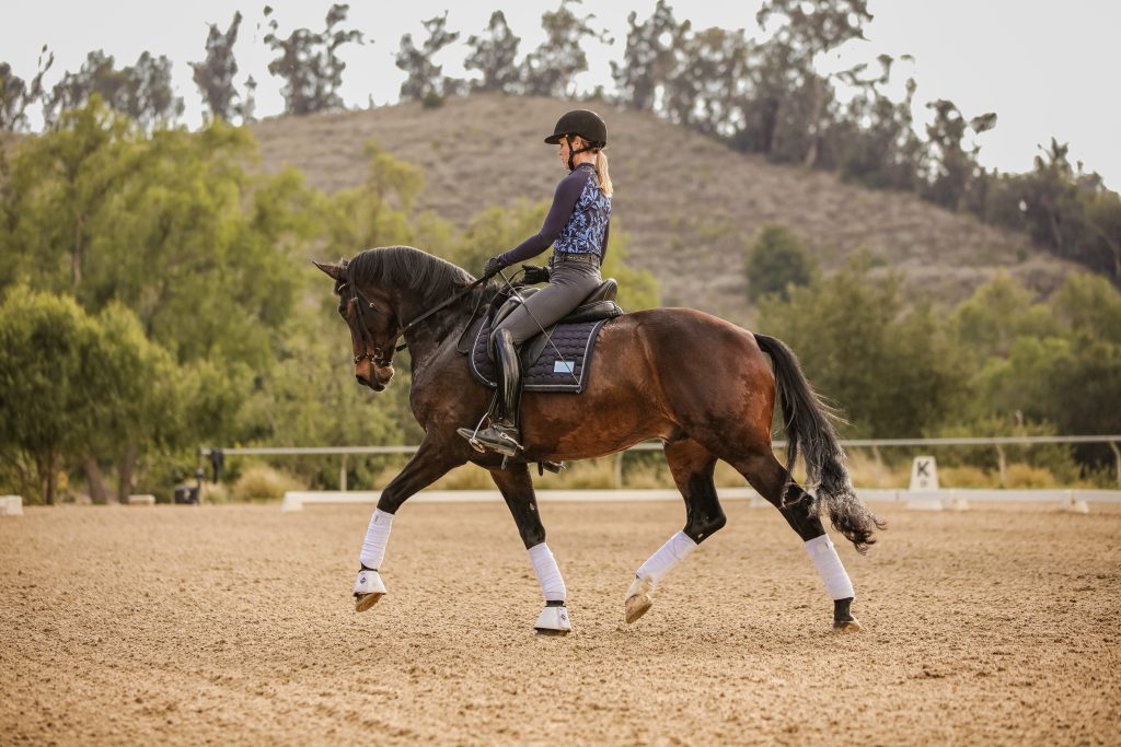 A person wearing a helmet and riding gear is performing a sitting trot on a dark brown horse with white leg wraps in an outdoor arena, surrounded by trees and hills in the background.