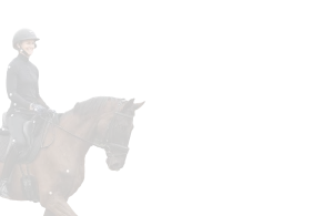 A person in black equestrian attire and helmet is performing a sitting trot on a brown horse, both facing left, set against a background of horizontal green and brown stripes.