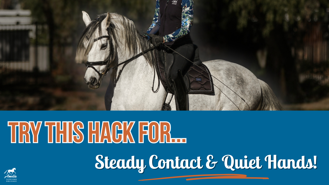 A person riding a gray horse with a blue saddle pad. Text reads: TRY THIS HACK FOR... Steady Contact & Quiet Hands! with tips for bridging the reins, plus a blue and orange design at the bottom.