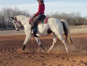 Cindy Kerr riding her Western Dressage horse.