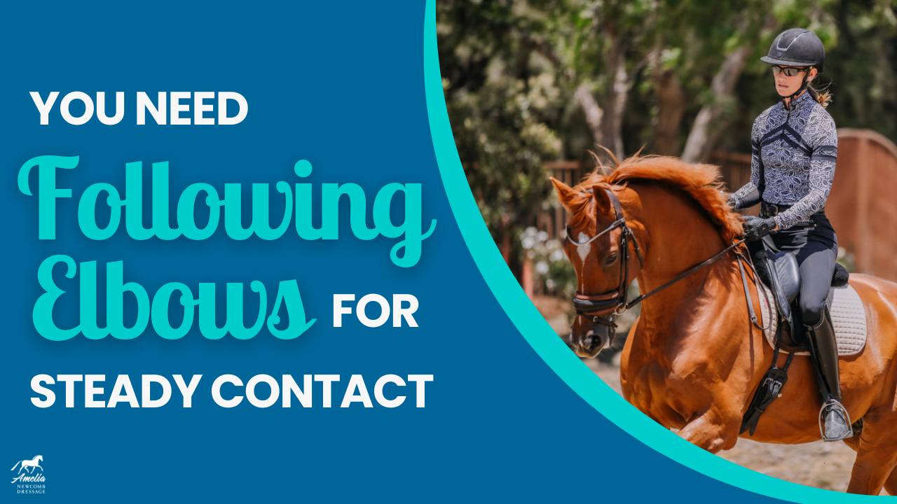 A rider in a patterned shirt and helmet on a chestnut horse, with text overlay: YOU NEED Following Elbows—an important joint in the body—for STEADY CONTACT.
