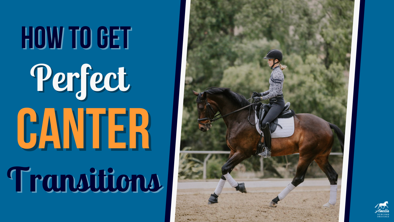 A rider in a helmet and patterned shirt canters a brown horse in an outdoor arena. Text reads: “How to Get Smooth Canter Transitions.” Logo of Amelia Newcomb Dressage is in the bottom right corner.