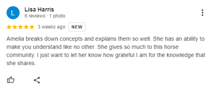 A Google review by Lisa Harris with 5 stars praises Amelia for clearly explaining concepts and sharing valuable knowledge through the Sitting Trot Challenge; Lisa expresses her gratitude.