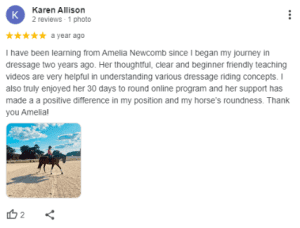 A Google review by Karen Allison with a five-star rating praises Amelia Newcomb’s Sitting Trot Challenge dressage instruction. Below the review, a photo shows a person riding a horse in a sandy outdoor arena under a blue sky.