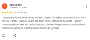 A five-star Google review by neta jones praises Amelia's online horse classes, mentioning being 65, new to horses, learning a lot from the Sitting Trot Challenge, and recommending the classes for building confidence.