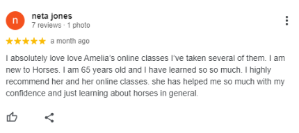 A five-star Google review by neta jones praises Amelia's online horse classes, mentioning being 65, new to horses, learning a lot from the Sitting Trot Challenge, and recommending the classes for building confidence.