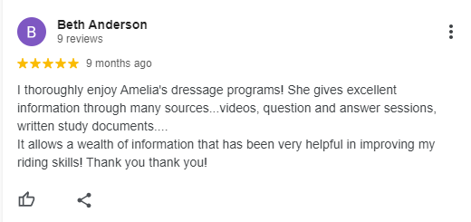 A Google review by Beth Anderson, rating five stars, praising Amelia’s dressage programs and the Sitting Trot Challenge for offering helpful videos, Q&A sessions, written materials, and improving her riding skills.