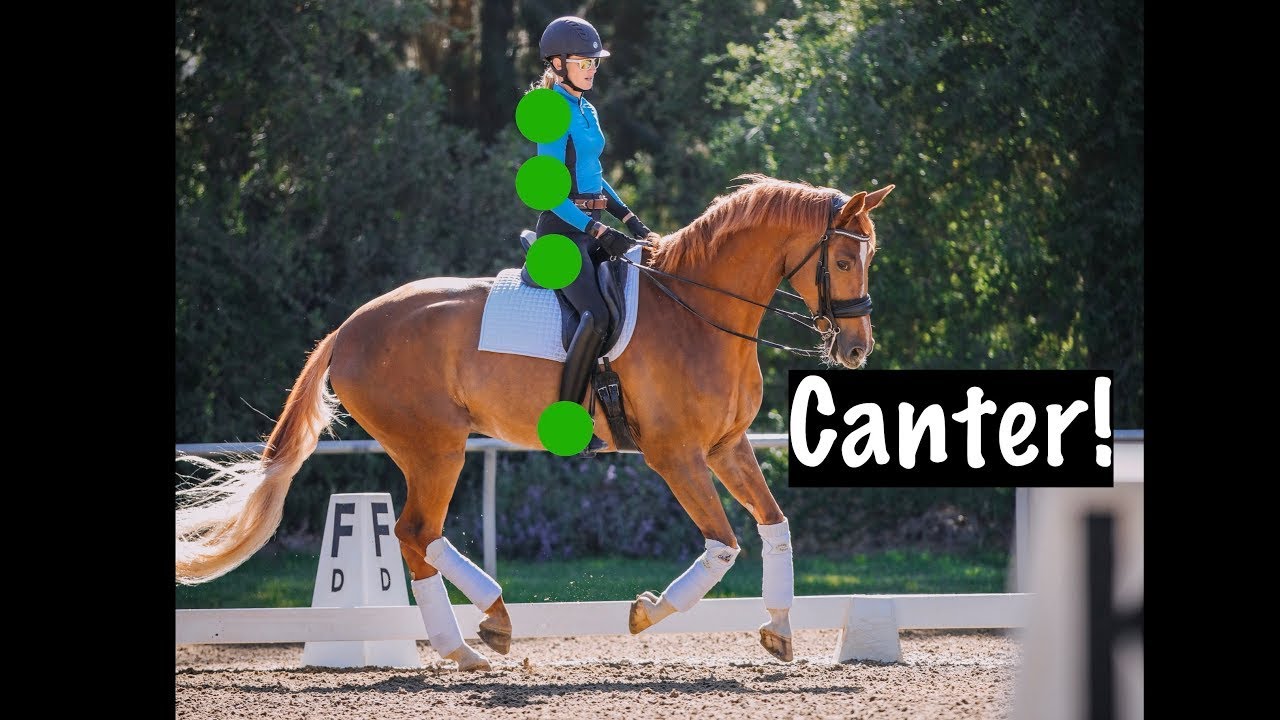 A person in a blue shirt and helmet rides a chestnut horse in an arena. Four green dots highlight a vertical line along the rider’s body. The word “Canter!” appears in bold on the right.