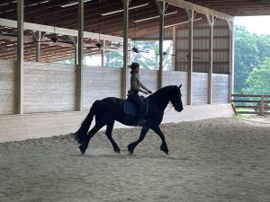 A person wearing a helmet rides a black horse at a trot inside a covered riding arena with sandy footing and wooden walls, showcasing skills perfect for the 2024 Riding Bootcamp, with trees visible outside.