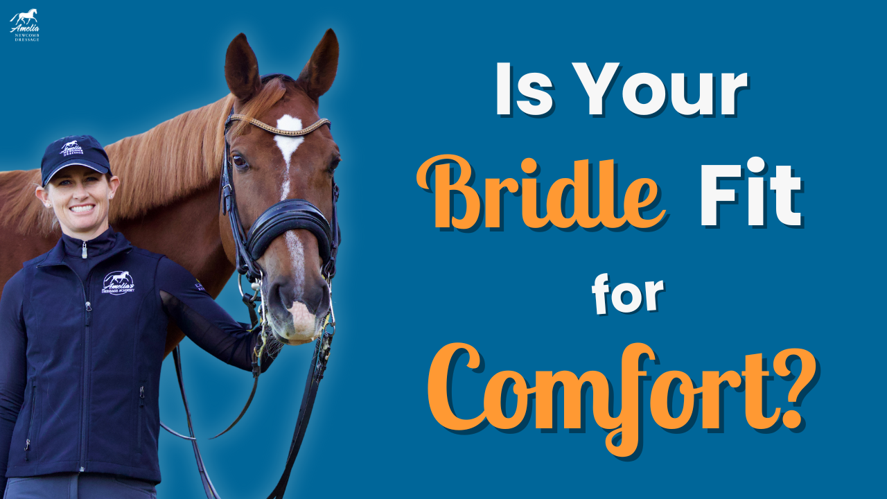 A smiling person in equestrian attire stands beside a brown horse with a black bridle. Text reads: Is Your Bridle Fit for Comfort? on a blue background, highlighting the importance of proper bridle fitting for your horse’s comfort.
