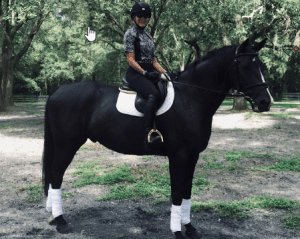 A person in riding gear sits on a black horse with white leg wraps and a white saddle pad in a sunlit outdoor area surrounded by trees, ready to master new skills at the 5 Day Riding Bootcamp.