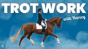 A rider in formal equestrian attire trots on a chestnut horse with a white saddle pad. Large white text reads Harvey's Trot Work and smaller text says trot training on a blue, cloud-like background.