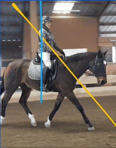 Dressage schooling ride focused on rhythm, bend, and connection with coaching