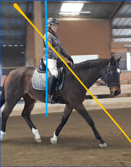 Dressage schooling ride focused on rhythm, bend, and connection with coaching