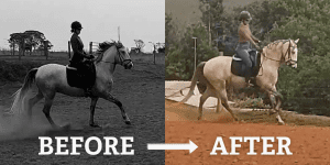 Split image showing a person riding a horse; left side is black and white labeled BEFORE, right side is in color labeled AFTER. The rider and horse appear more dynamic on the right, highlighting the results of the 5 Day Riding Bootcamp.